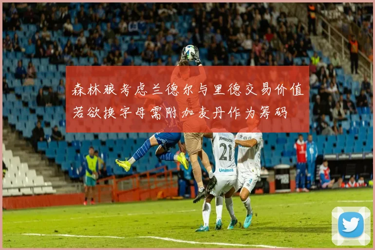 森林狼考虑兰德尔与里德交易价值若欲换字母需附加麦丹作为筹码